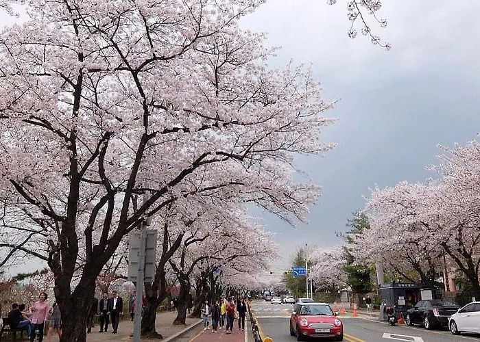 Villa Will U In Yeouido, Singil *